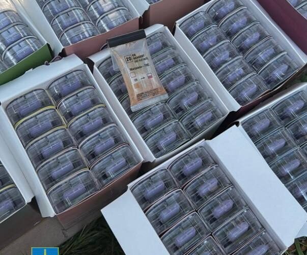 В Україні викрили міжнародний канал наркопостачання