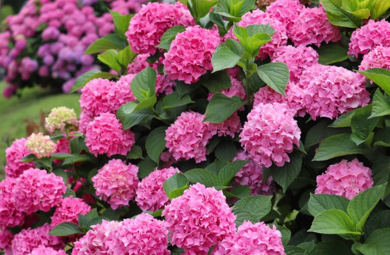 В Україні збережеться переважно прохолодна погода