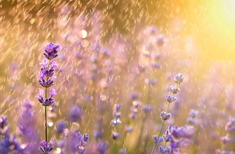 В Україну повернуться грози: прогноз погоди на вихідні