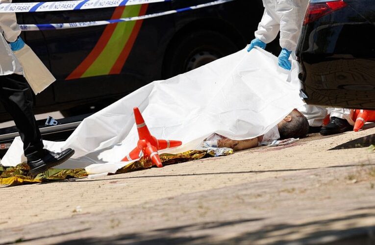 Відкрито справу щодо вбивства Портнова – ЗМІ