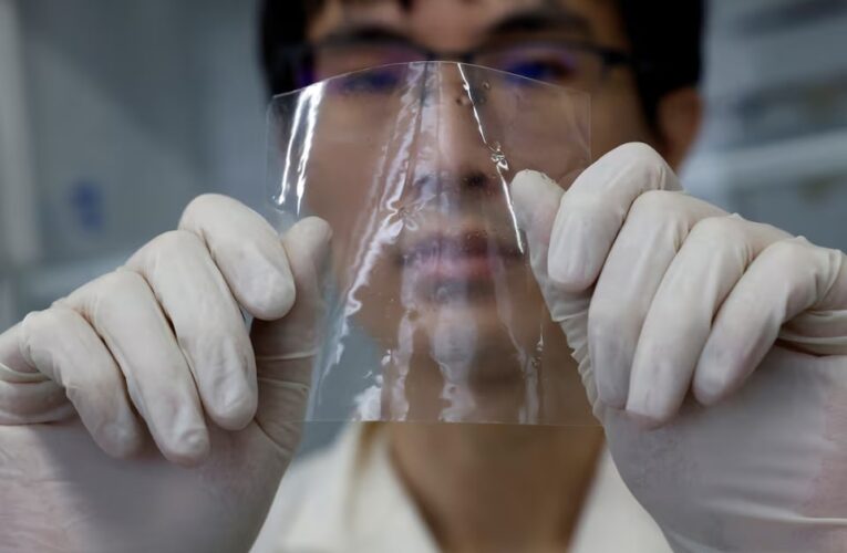 Японські науковці розробили пластик, що зникає у морі