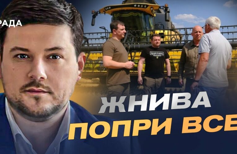 Український врожай 2025: чи вистачить зерна та що буде з цінами | Денис Марчук