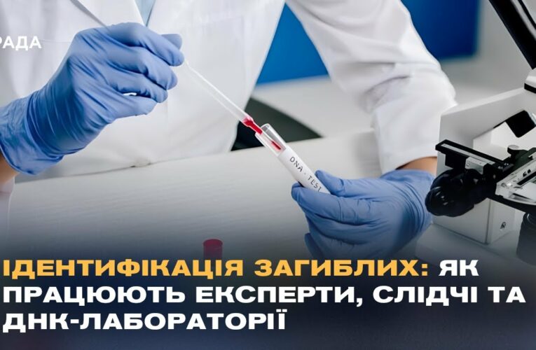 Ідентифікація загиблих: як працюють експерти, слідчі та ДНК-лабораторії