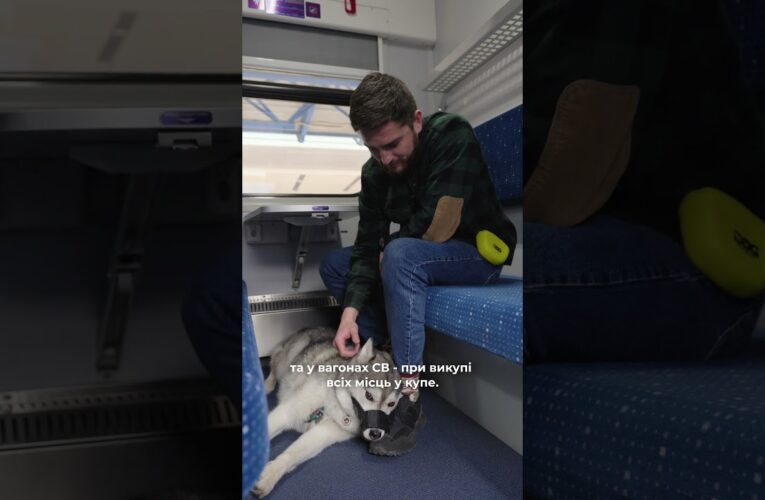 Нові правила перевезення тварин в поїздах Укрзалізниці