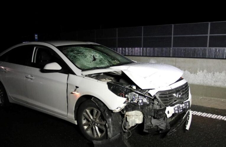 ДБР завершила розслідування смертельної ДТП за участі військового