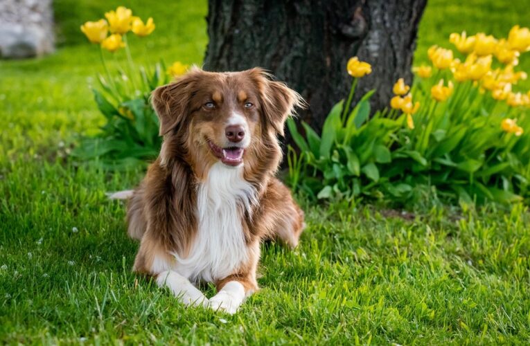 Гороскоп для всіх знаків зодіаку на 10 липня 2025 року