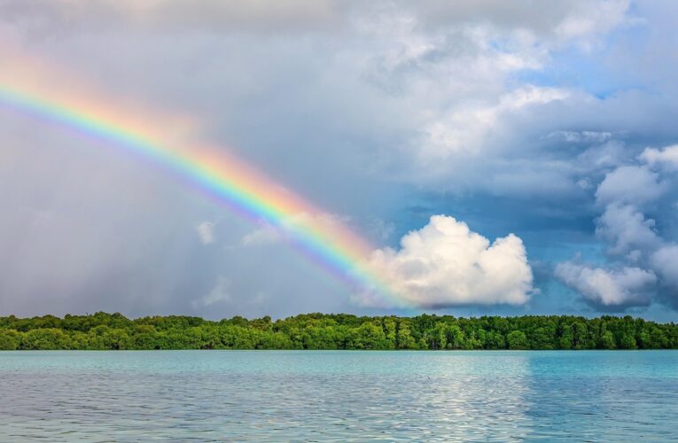 Гороскоп для всіх знаків зодіаку на 11 липня 2025 року