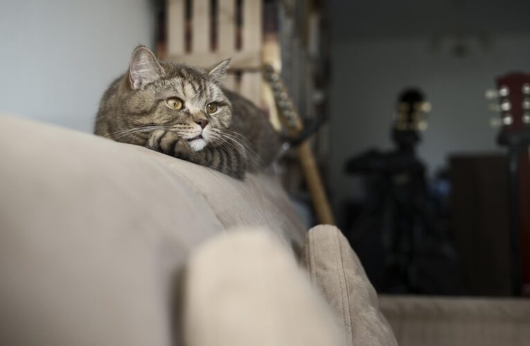 Гороскоп для всіх знаків зодіаку на 15 липня 2025 року