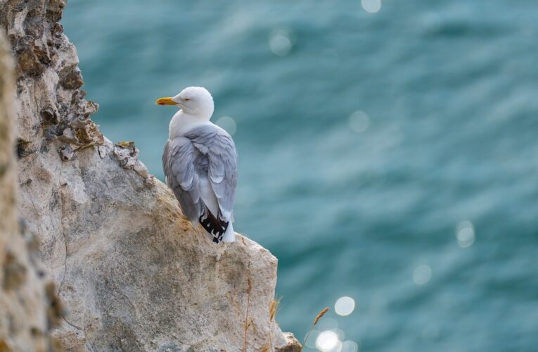 Гороскоп для всіх знаків зодіаку на 23 липня 2025 року