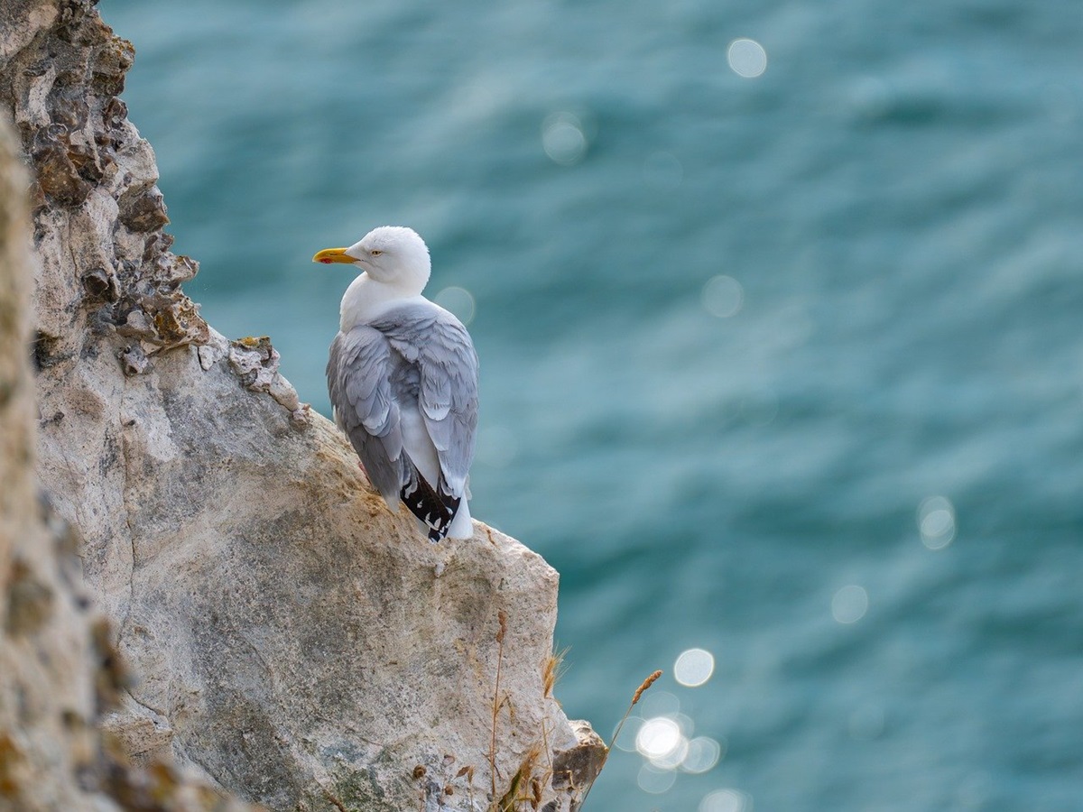 Новини культури - Гороскоп для всіх знаків зодіаку на 23 липня 2025 року