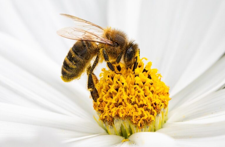 Гороскоп для всіх знаків зодіаку на 29 липня 2025 року