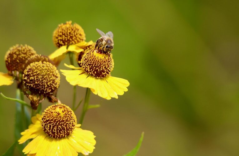 Гороскоп для всіх знаків зодіаку на 3 липня 2025 року