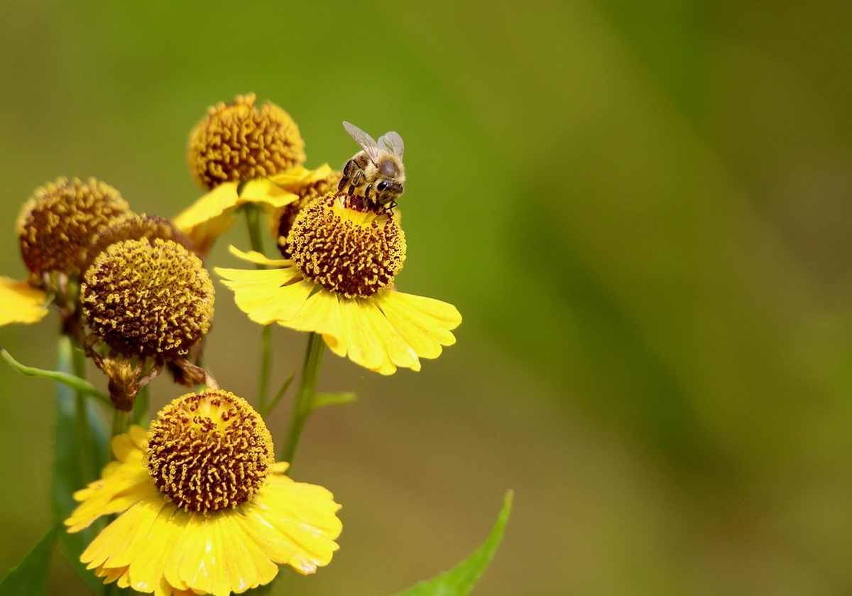Новини культури - Гороскоп для всіх знаків зодіаку на 3 липня 2025 року