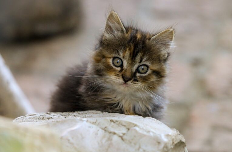 Гороскоп для всіх знаків зодіаку на 30 липня 2025 року