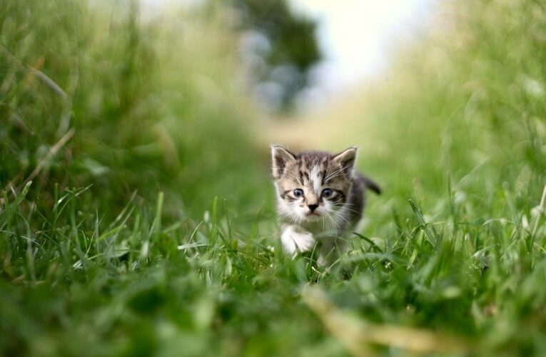 Гороскоп для всіх знаків зодіаку на 8 липня 2025 року