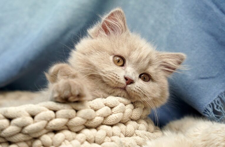 Гороскоп для всіх знаків зодіаку на вихідні 19-20 липня 2025 року