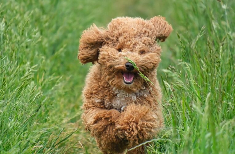 Гороскоп для всіх знаків зодіаку на вихідні 26-27 липня 2025 року