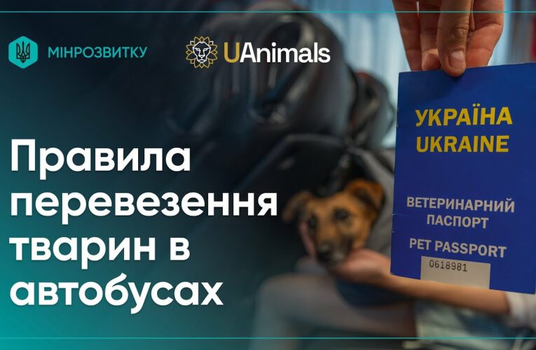 Правила перевезення домашніх тварин в автобусах: пояснює Рижуля