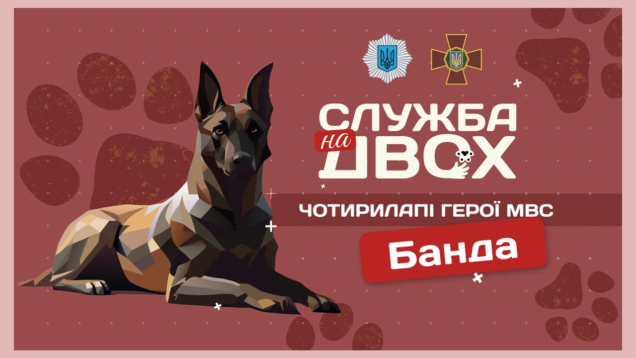 🎖 БАНДА – собака-герой України та вірна напарниця | Служба на двох