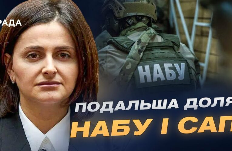 Закон про НАБУ та САП: зміни та робота антикорупціонерів | Ольга Василевська-Смаглюк