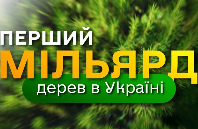 МІЛЬЯРД дерев в Україні / програма Президента ЗЕЛЕНА КРАЇНА / як ДП “Ліси України” вирощує сіянці