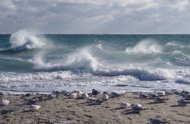 Морську міну винесло на узбережжя Одещини