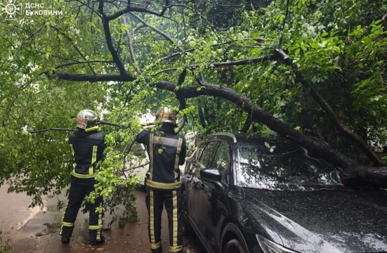 На Буковині через негоду понад 26 тисяч споживачів залишились без світла