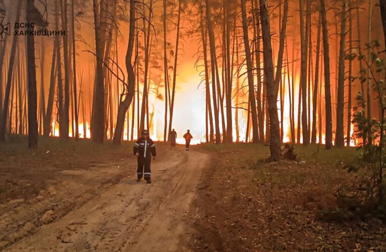 На Харківщині вирують масштабні лісові пожежі
