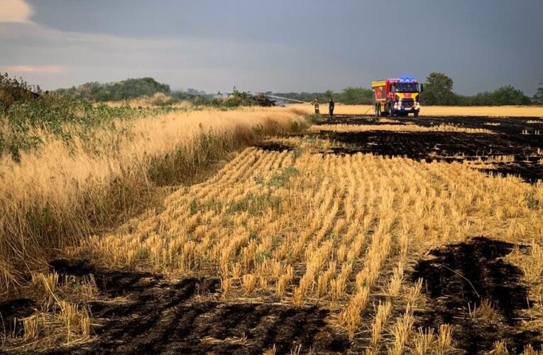 На Миколаївщині вигоріло 70 гектарів пшениці