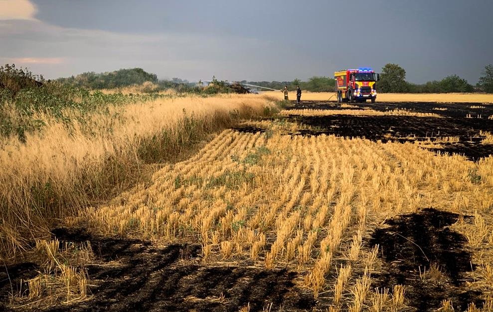 Новини України - На Миколаївщині вигоріло 70 гектарів пшениці
