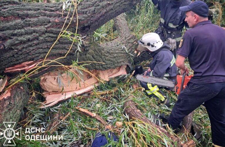 На Одещині через падіння дерева загинув підліток