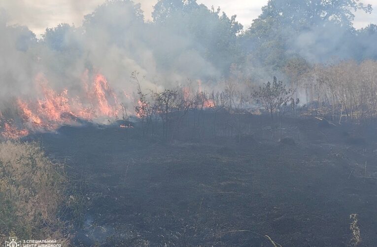 На Одещині спалахнув сухостій на площі 18 000 кв м