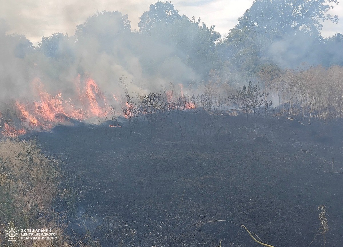Новини України - На Одещині спалахнув сухостій на площі 18 000 кв м