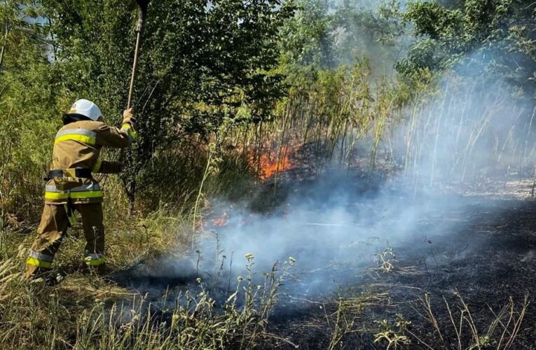 На Одещині вирують масштабні пожежі: є жертва
