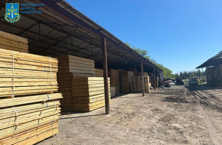 На Житомирщині судитимуть посадовців за розкрадання лісу