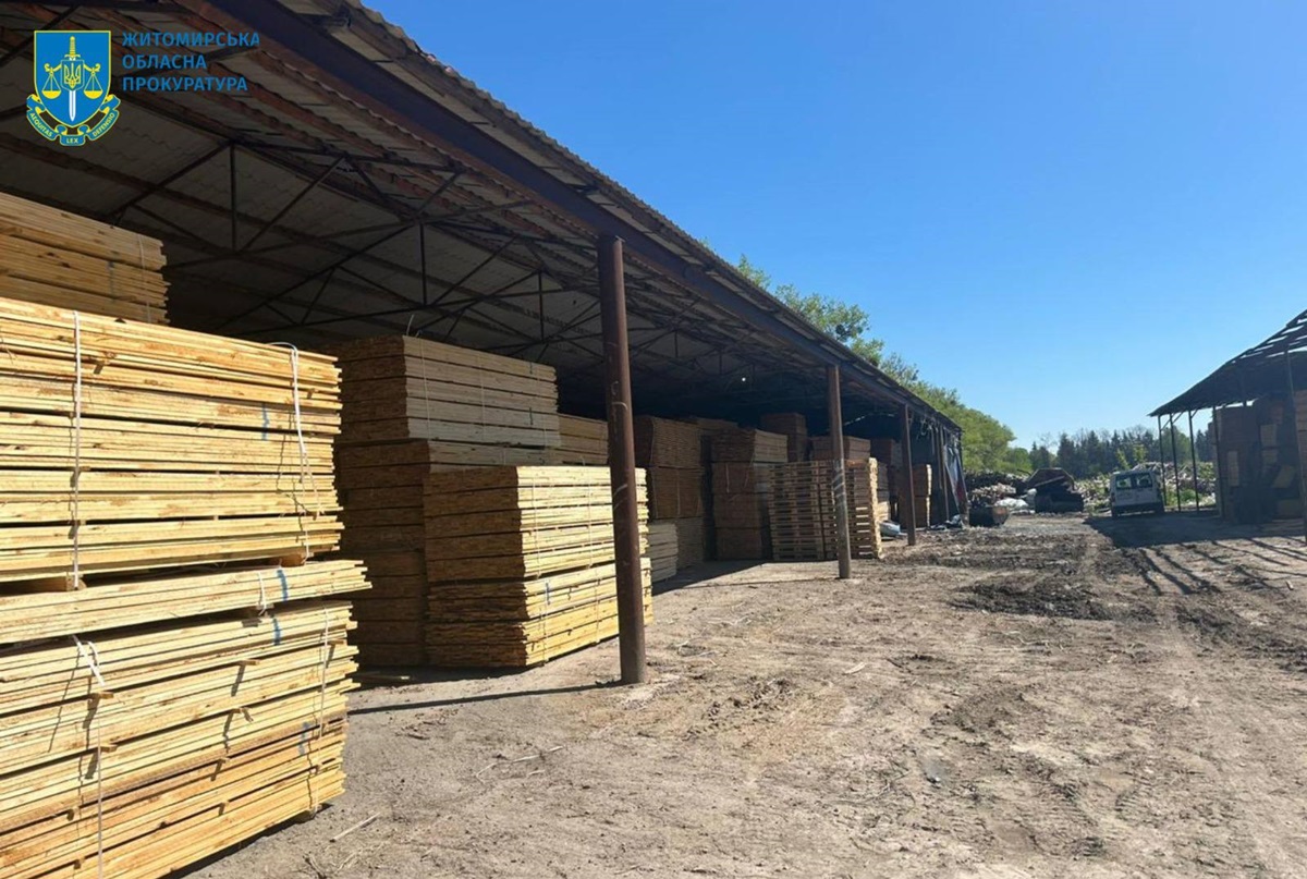 Новини України - На Житомирщині судитимуть посадовців за розкрадання лісу