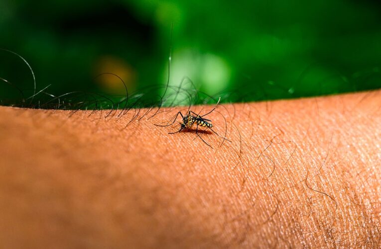 Насувається пандемія? В Європі “гуляє” новий вірус