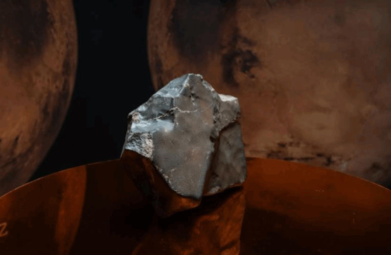 Найбільший на Землі метеорит із Марса виставили на аукціон Нью-Йорку