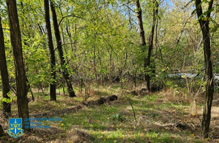 Незаконна вирубка лісу на Дніпропетровщині призвела до 34 млн збитків