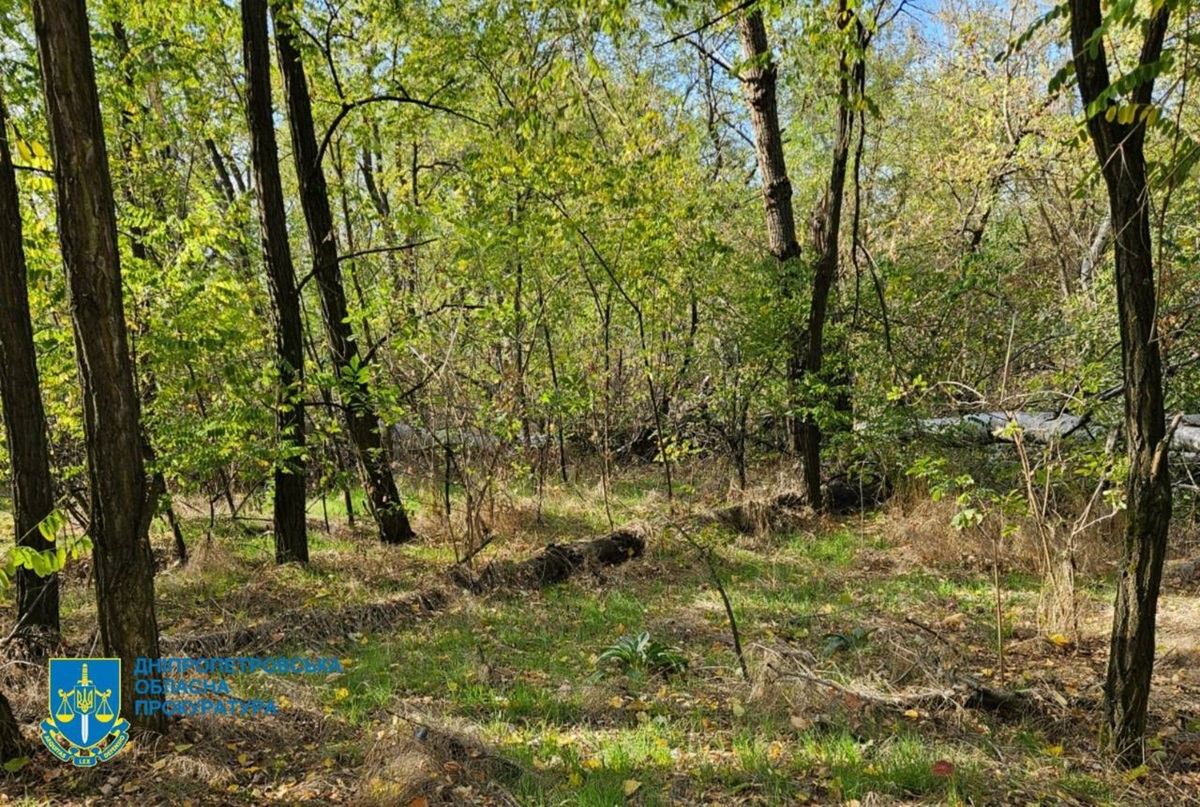 Новини України - Незаконна вирубка лісу на Дніпропетровщині призвела до 34 млн збитків
