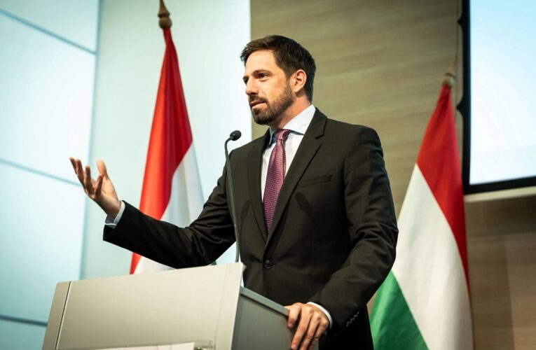 Посла України викликало МЗС Угорщини через смерть мобілізованого угорця