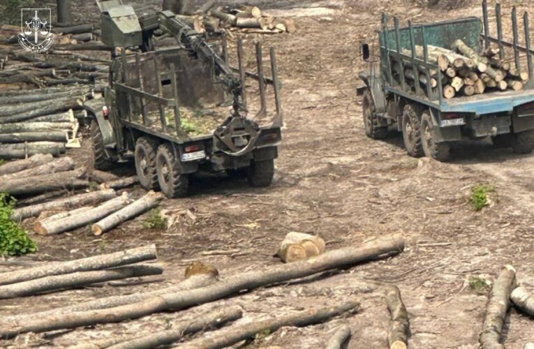 Повідомлено про підозри 13 працівникам Ліси України та ЛІАЦ