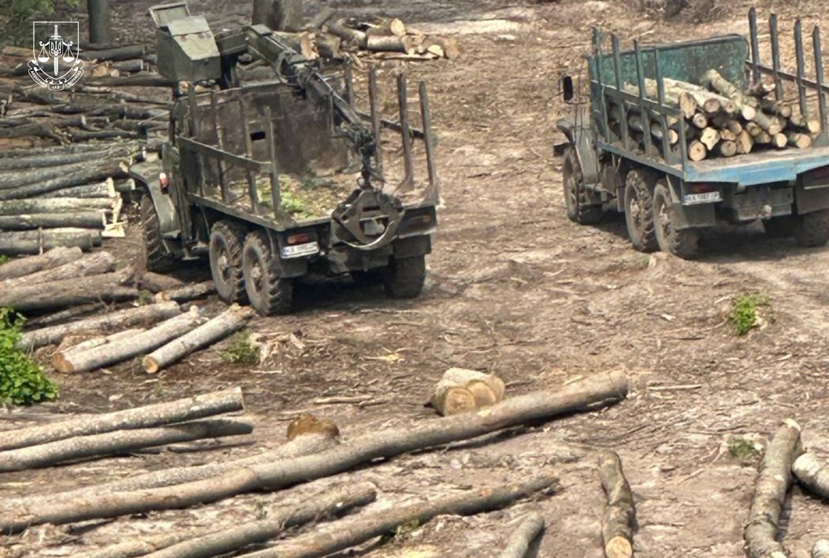 Новини України - Повідомлено про підозри 13 працівникам Ліси України та ЛІАЦ