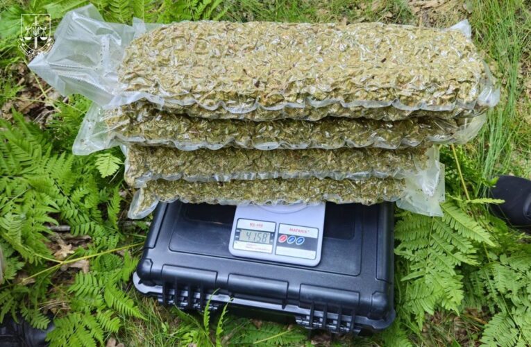 Правоохоронці знешкодили наркокартель із Кривого Рогу