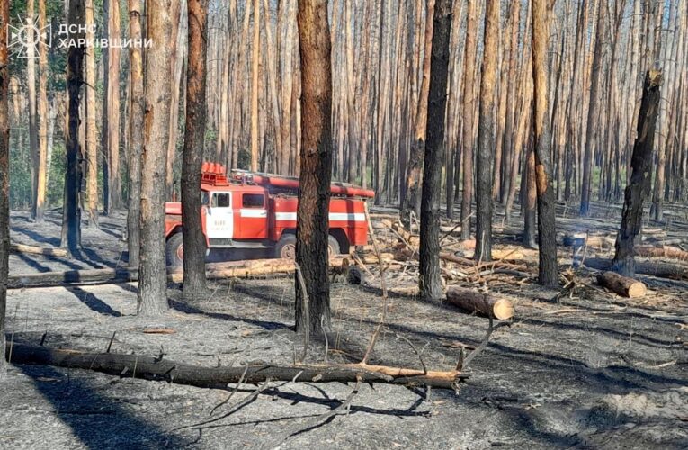 Російські обстріли Харківщини викликали вісім пожеж