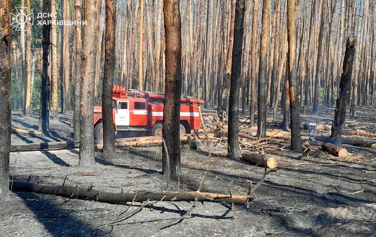 Новини України - Російські обстріли Харківщини викликали вісім пожеж