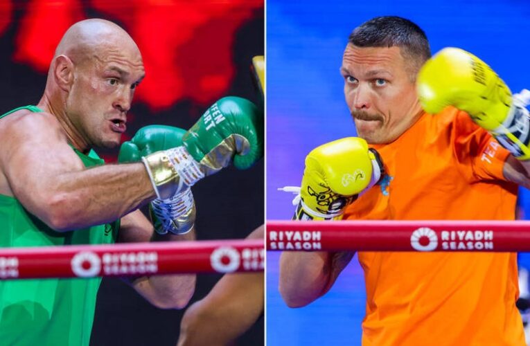 Сенченко розповів, що потрібно для трилогії Усик – Ф&rsquo;юрі