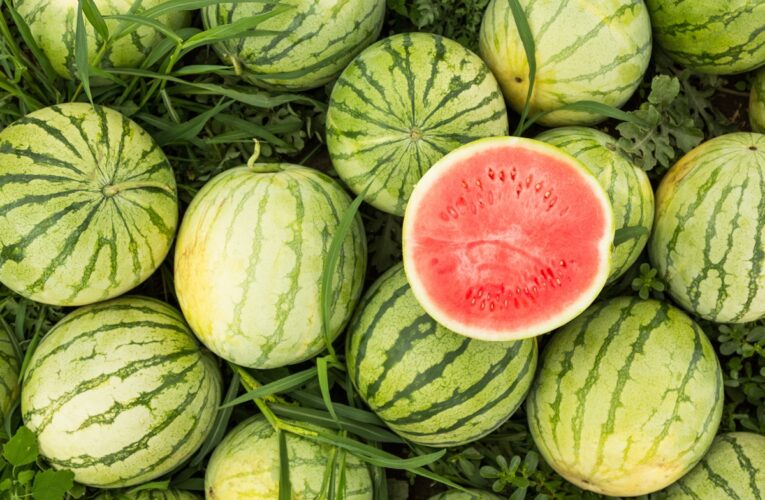 Стало відомо, де найбільше вирощують кавунів в Україні