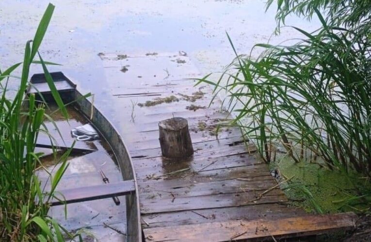 Трагедія у Дніпрі: у ставку потонула чотирирічна дитина