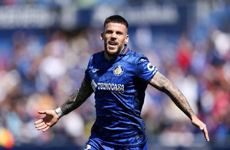 Третій у бійку не лізь: Перес пожалів собаку, як наслідок – без достоїнства